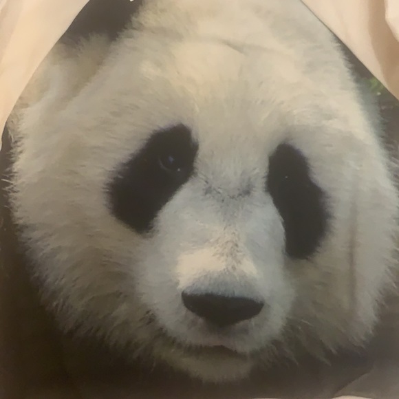 NWT PopUpShop Kids Panda Sweater Unisex - Picture 3 of 6